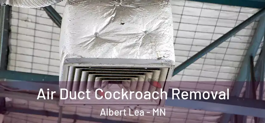  Air Duct Cockroach Removal Albert Lea - MN