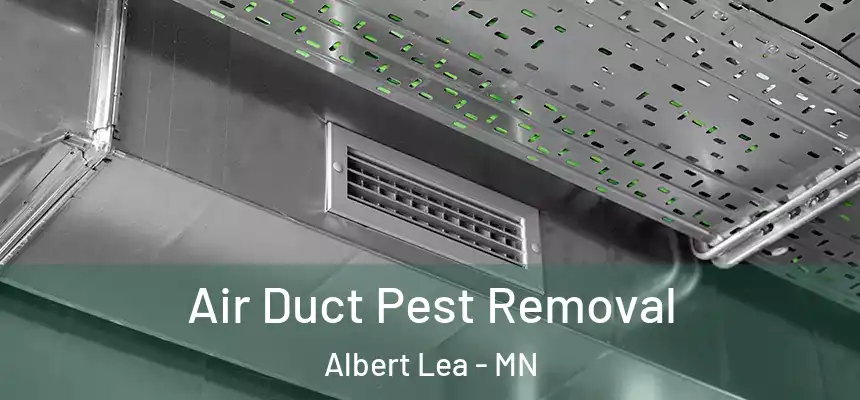  Air Duct Pest Removal Albert Lea - MN