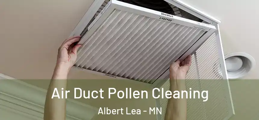  Air Duct Pollen Cleaning Albert Lea - MN