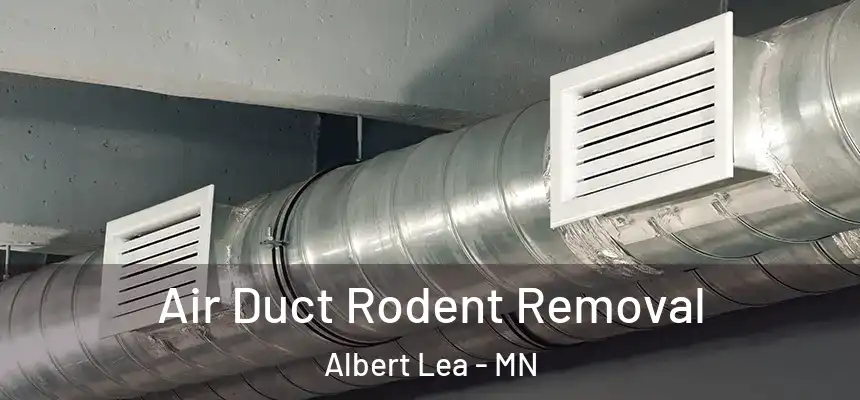 Air Duct Rodent Removal Albert Lea - MN