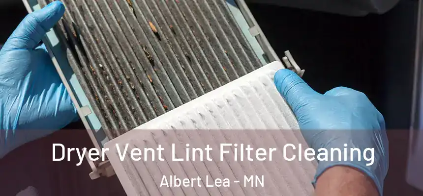  Dryer Vent Lint Filter Cleaning Albert Lea - MN