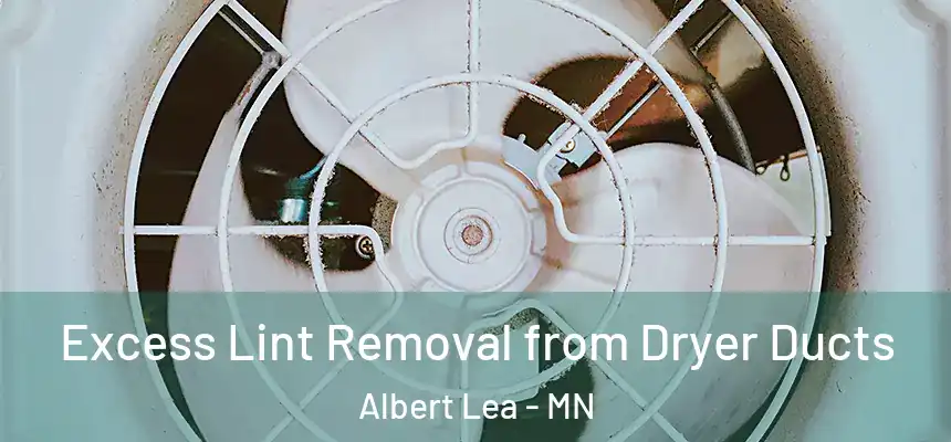  Excess Lint Removal from Dryer Ducts Albert Lea - MN