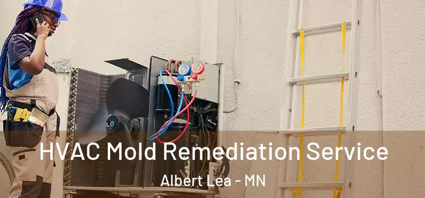  HVAC Mold Remediation Service Albert Lea - MN