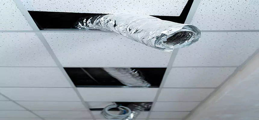 Affordable HVAC Sanitizing After Pest Removal in Albert Lea