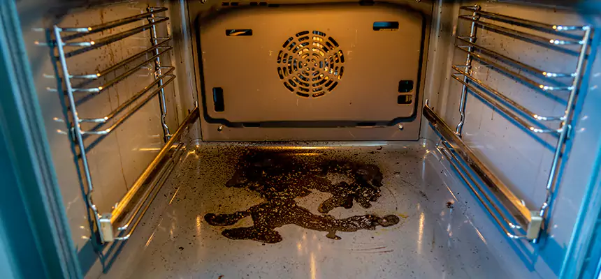 Our Dryer Vent Mold Cleaning Services in Albert Lea, MN