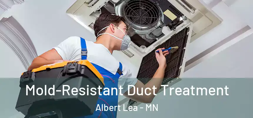  Mold-Resistant Duct Treatment Albert Lea - MN
