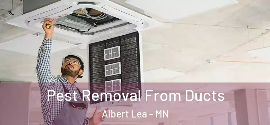  Pest Removal From Ducts Albert Lea - MN