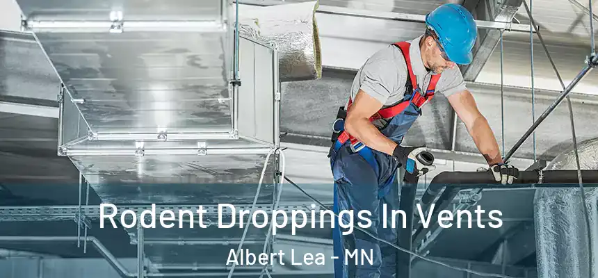  Rodent Droppings In Vents Albert Lea - MN