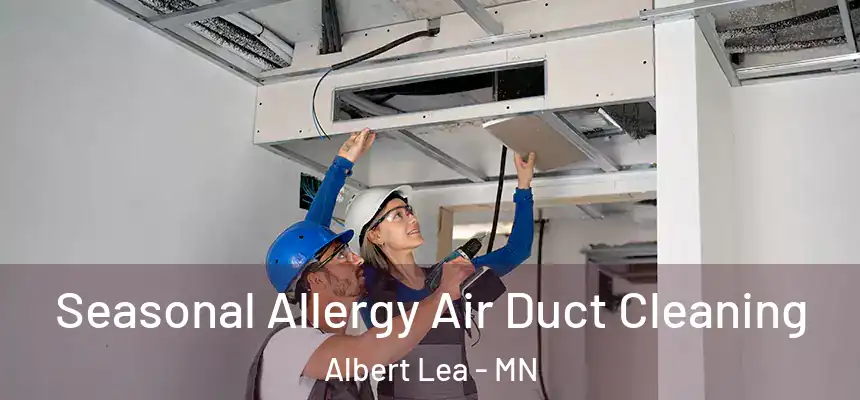  Seasonal Allergy Air Duct Cleaning Albert Lea - MN