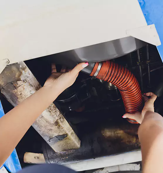 About Air Duct Virus Disinfection in Albert Lea, MN