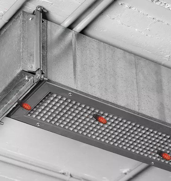 Affordable Insect Removal from Air Ducts in Albert Lea, MN