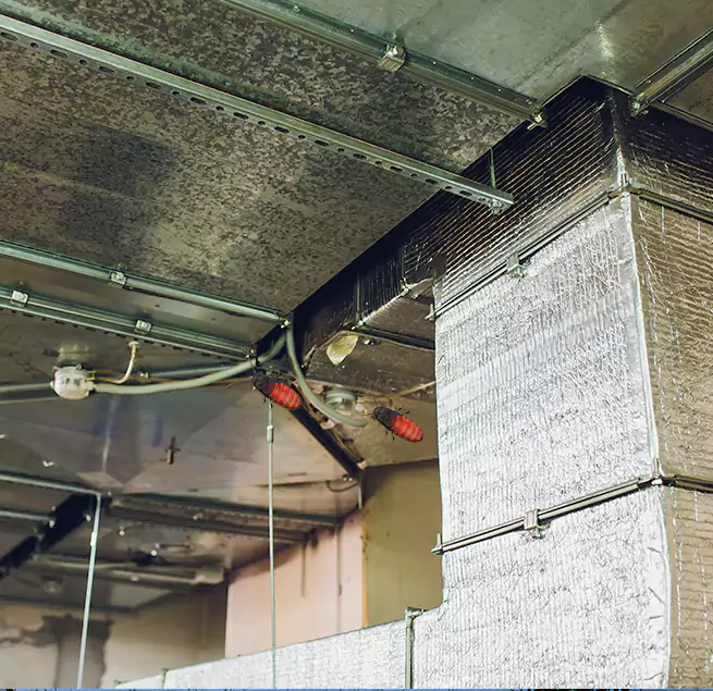 Why Homeowners & Businesses Trust Us Albert Lea, MN?