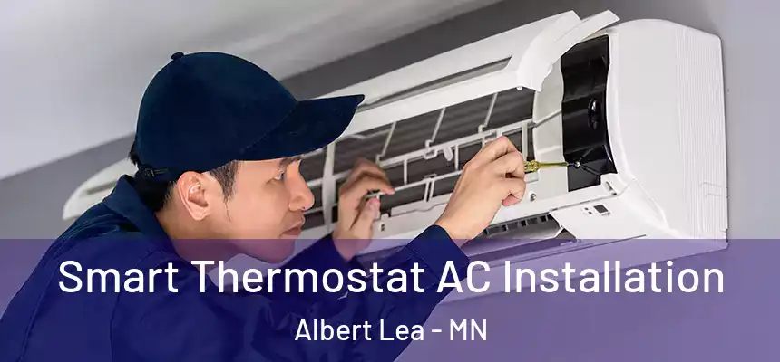  Smart Thermostat AC Installation Albert Lea - MN